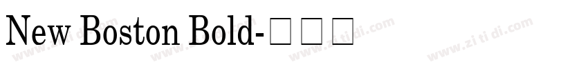 New Boston Bold字体转换